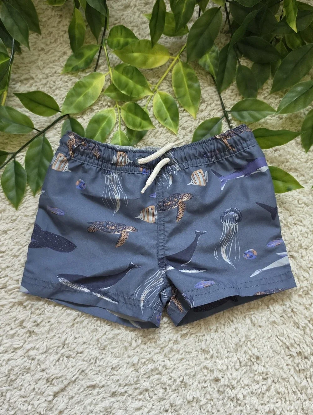 Toddler Boy Sea Life Swimming Shorts (2T)